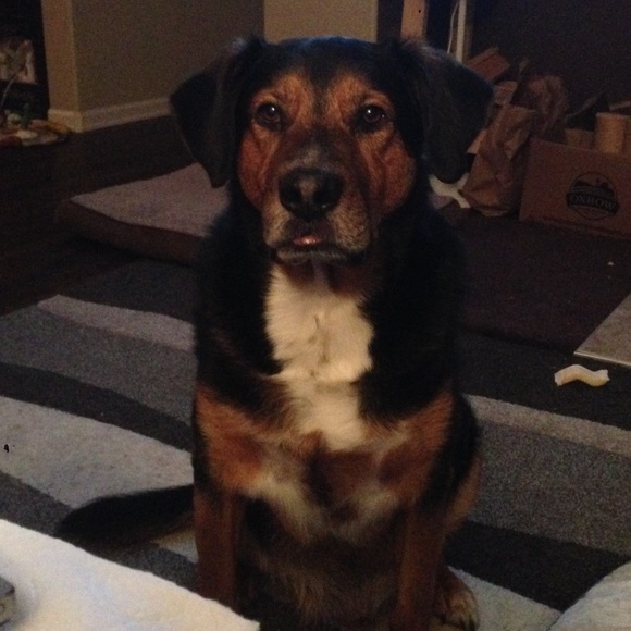 Posh Ambassador, Margaret - Picture 2 of 5